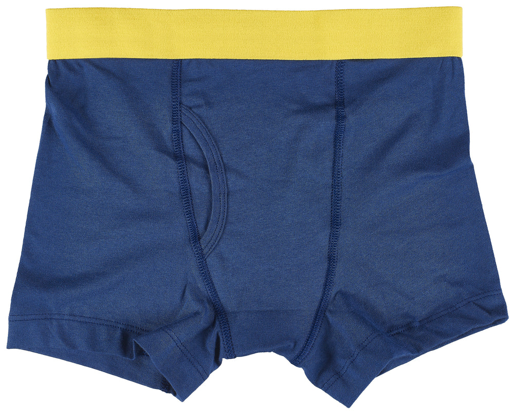 4-Pack Boys Cotton Boxer Briefs Underwear (Extreme Sports)