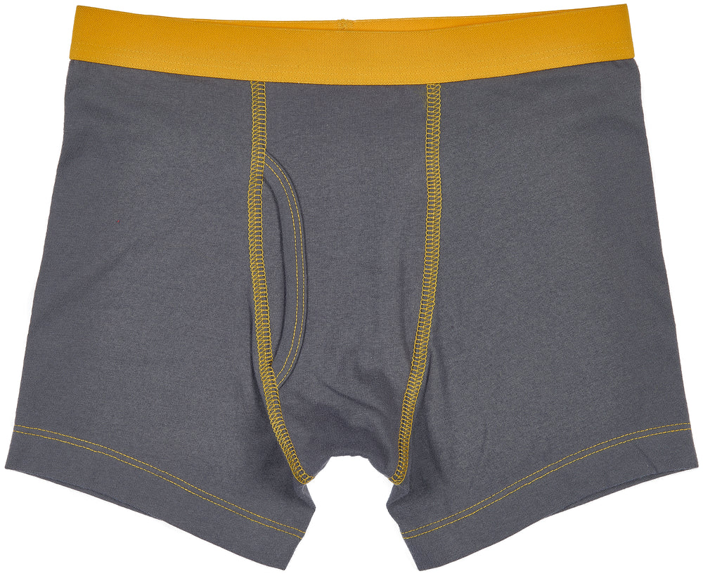 Trimfit Boys Cotton/Spandex Boxer Briefs (Pack Of 4), Multicoloured Trims